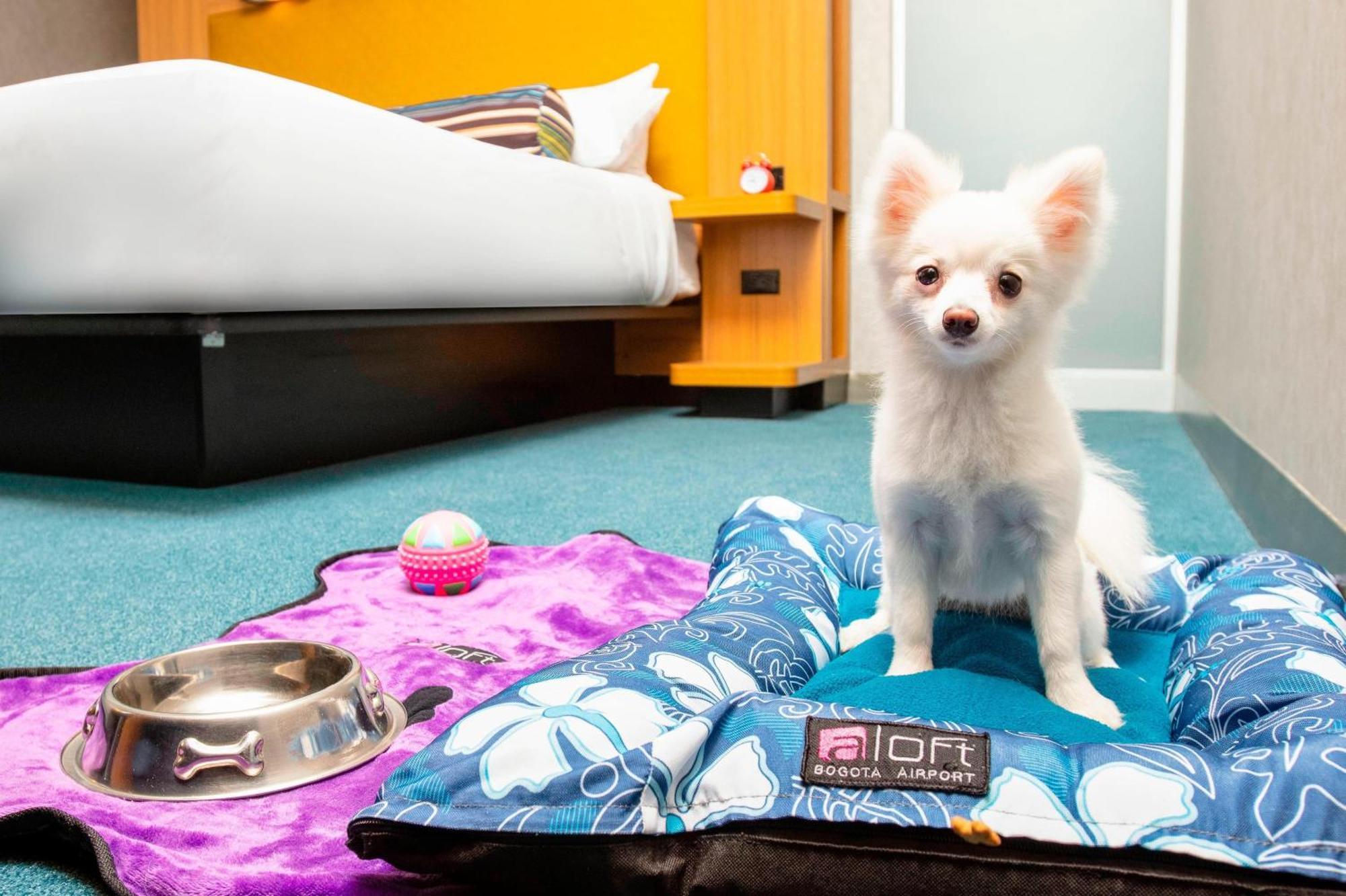 เอลอฟท์ โบโกตา แอร์พอร์ต Hotel ภายนอก รูปภาพ